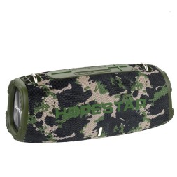 Колонка Hopestar H50