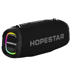 Колонка Hopestar A6 Max
