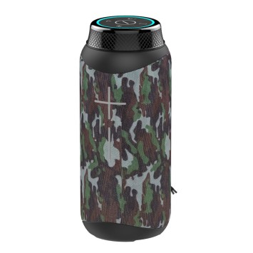 Колонка Hopestar P19