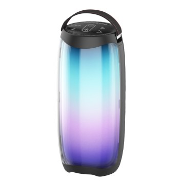 Колонка Hopestar P40