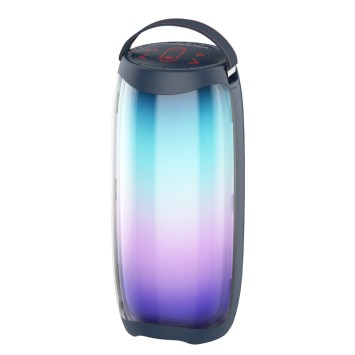 Колонка Hopestar P40